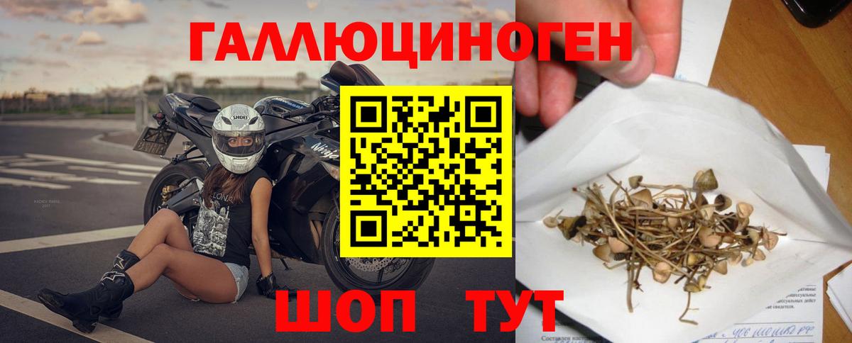 Усть-Джегута  Галлюциногенные грибы Psilocybe  Вход с VPN 