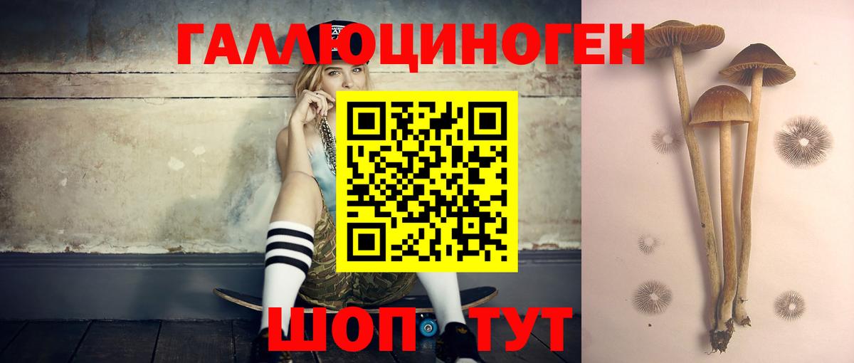 Псилоцибиновые грибы MAGIC MUSHROOMS Усть-Джегута